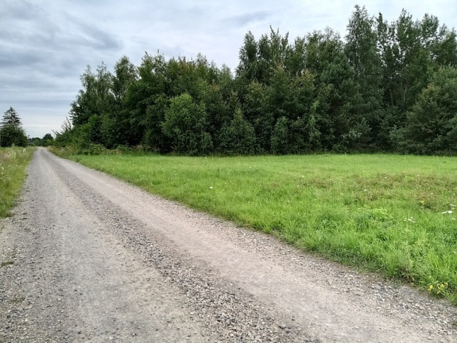Działka Sprzedaż Grójec 1