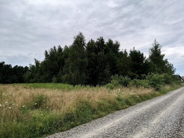 Działka Sprzedaż Grójec 4