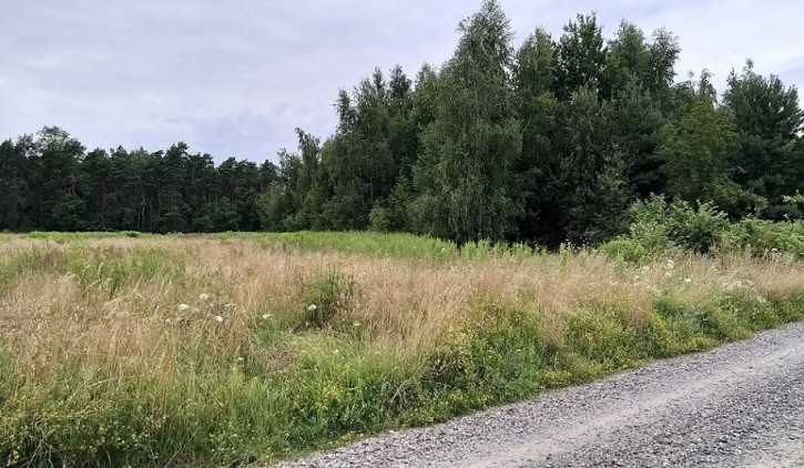 Działka Sprzedaż Grójec 5
