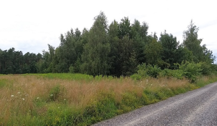 Działka Sprzedaż Grójec 6