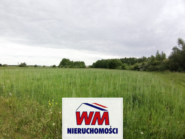 Działka Sprzedaż Jasieniec 2