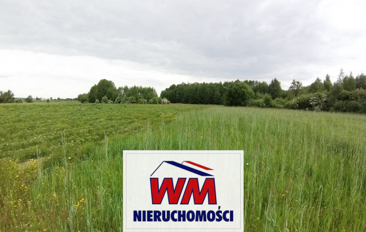 Działka Sprzedaż Jasieniec 4