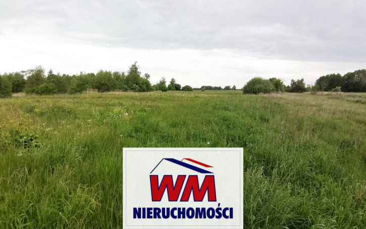 Działka Sprzedaż Jasieniec 8