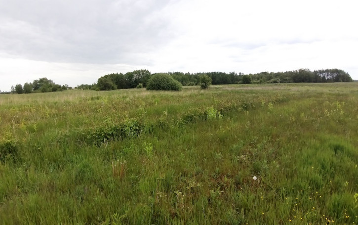 Działka Sprzedaż Jasieniec 10