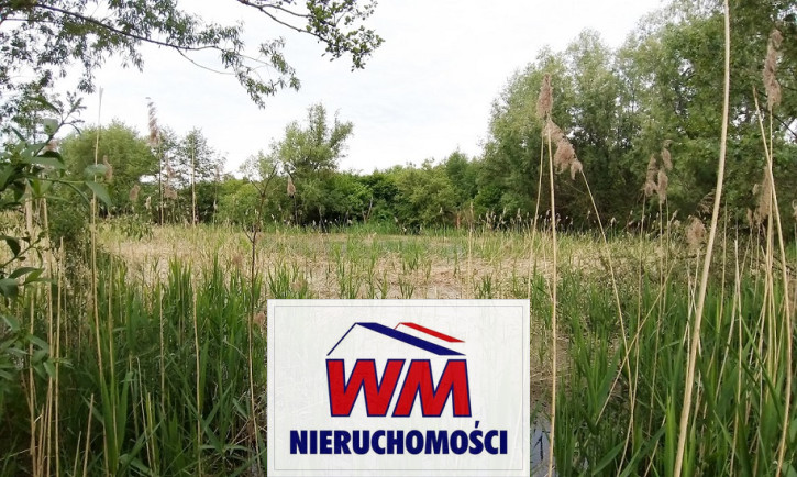 Działka Sprzedaż Jasieniec 12