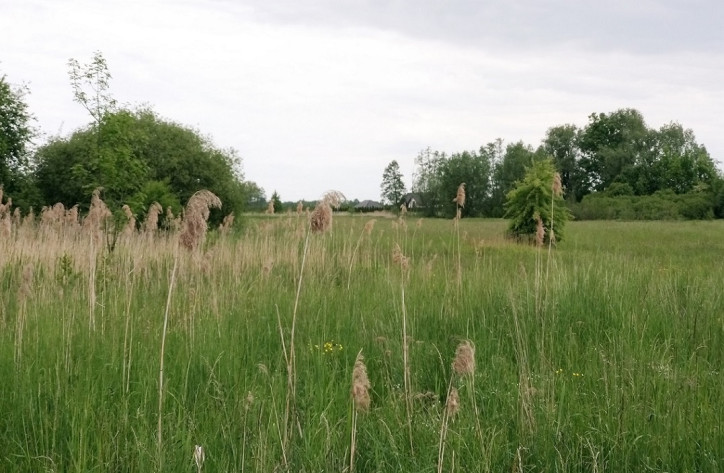 Działka Sprzedaż Jasieniec 14
