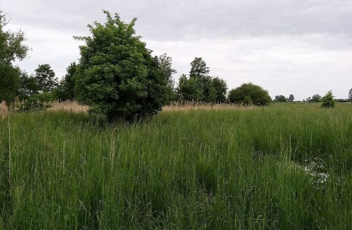 Działka Sprzedaż Jasieniec 15