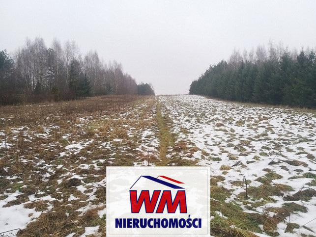 Działka Sprzedaż Mogielnica 18