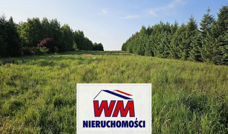 Działka Sprzedaż Mogielnica 4