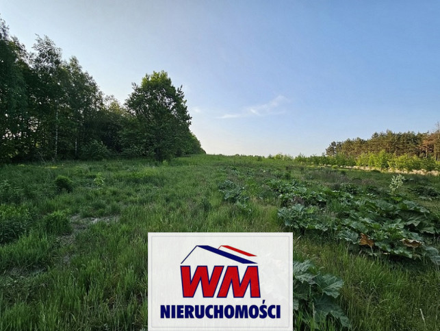 Działka Sprzedaż Mogielnica 9