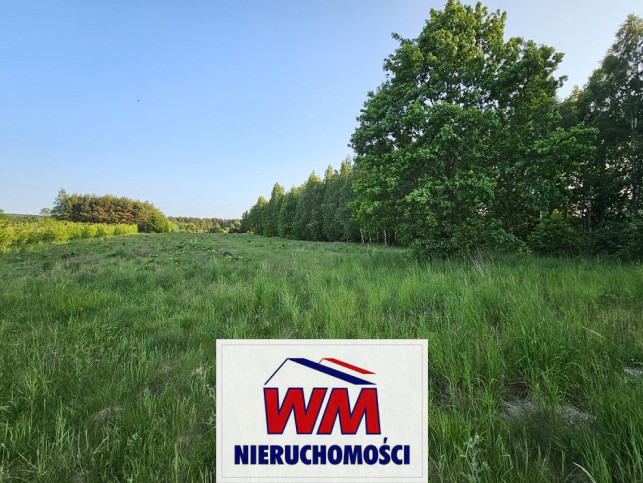 Działka Sprzedaż Mogielnica 11