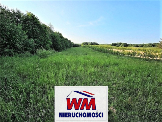 Działka Sprzedaż Mogielnica 12