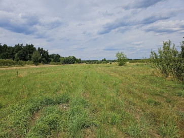 Działka Sprzedaż Grójec
