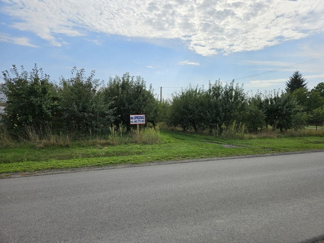 Działka Sprzedaż Warka 1