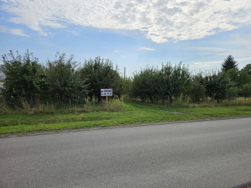 Działka Sprzedaż Warka