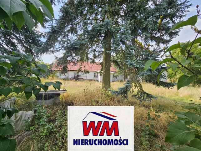 Działka Sprzedaż Warka 5