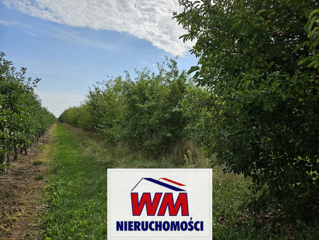 Działka Sprzedaż Warka 9