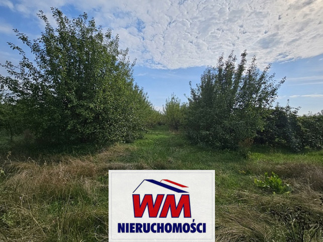 Działka Sprzedaż Warka 8