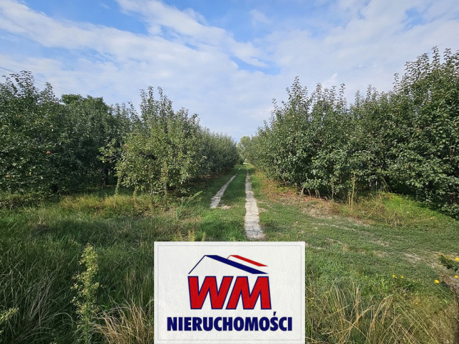 Działka Sprzedaż Warka 2