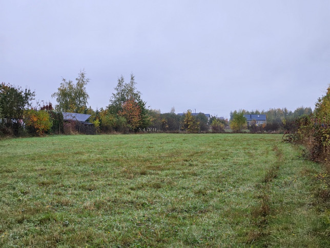 Działka Sprzedaż Pniewy 5