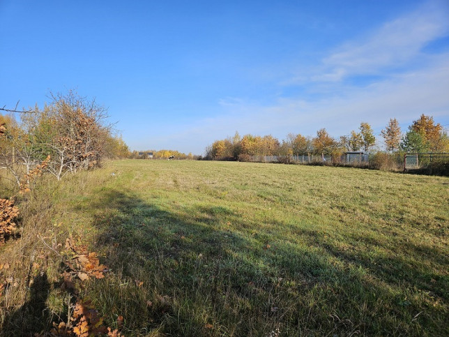 Działka Sprzedaż Pniewy 2