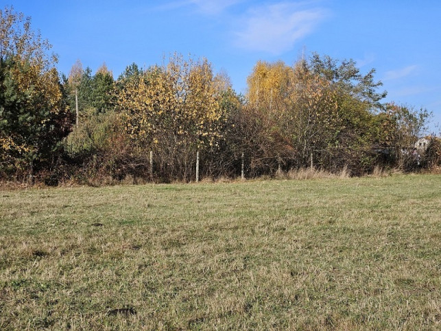 Działka Sprzedaż Pniewy 3