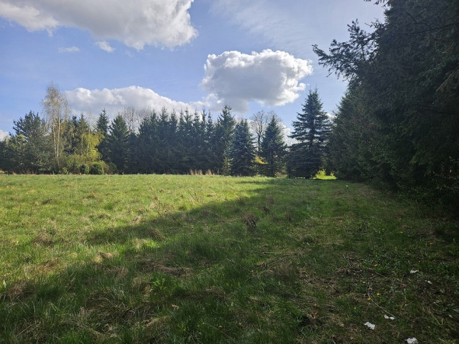 Działka Sprzedaż Pniewy 3