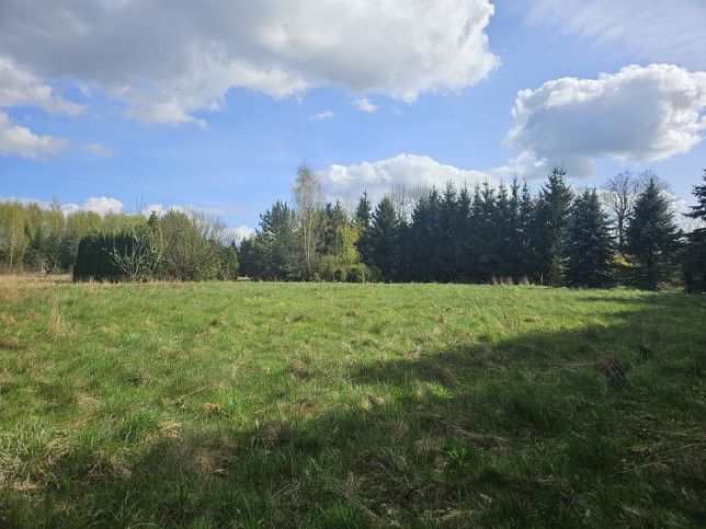 Działka Sprzedaż Pniewy 4