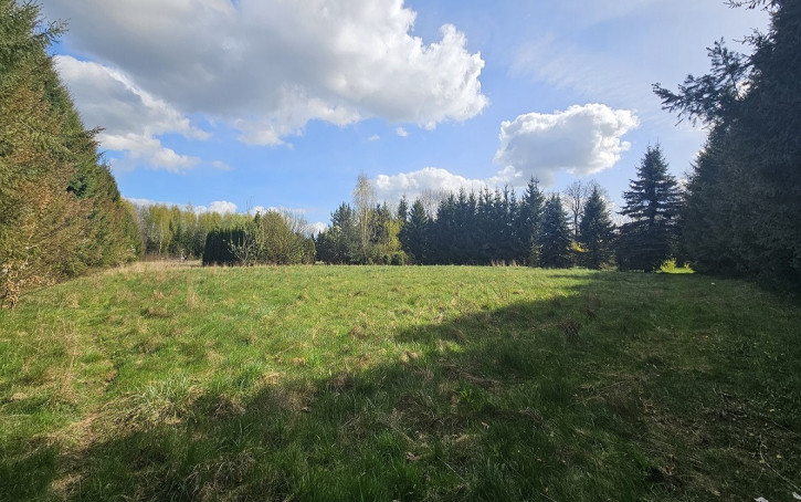 Działka Sprzedaż Pniewy 1