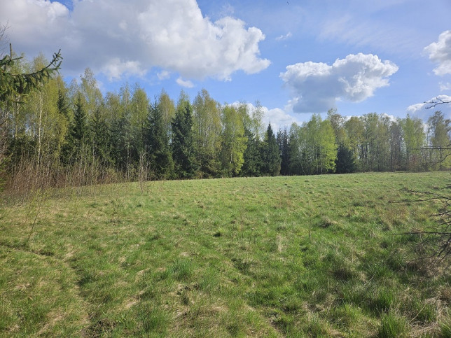 Działka Sprzedaż Pniewy 5