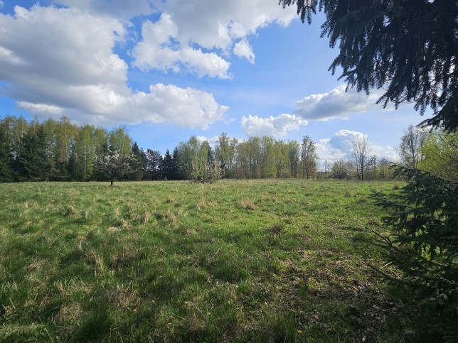 Działka Sprzedaż Pniewy 8