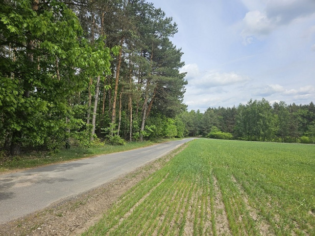 Działka Sprzedaż Pniewy 5
