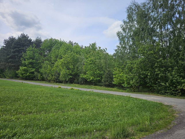 Działka Sprzedaż Pniewy 2